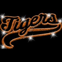 GLT78   ORANGE GLITTER Thumbnail